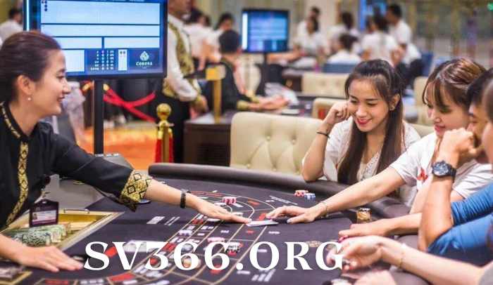 https://navajowhite-ape-821139.hostingersite.com/