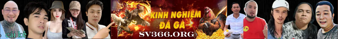 SV366 .ORG ĐĂNG NHẬP