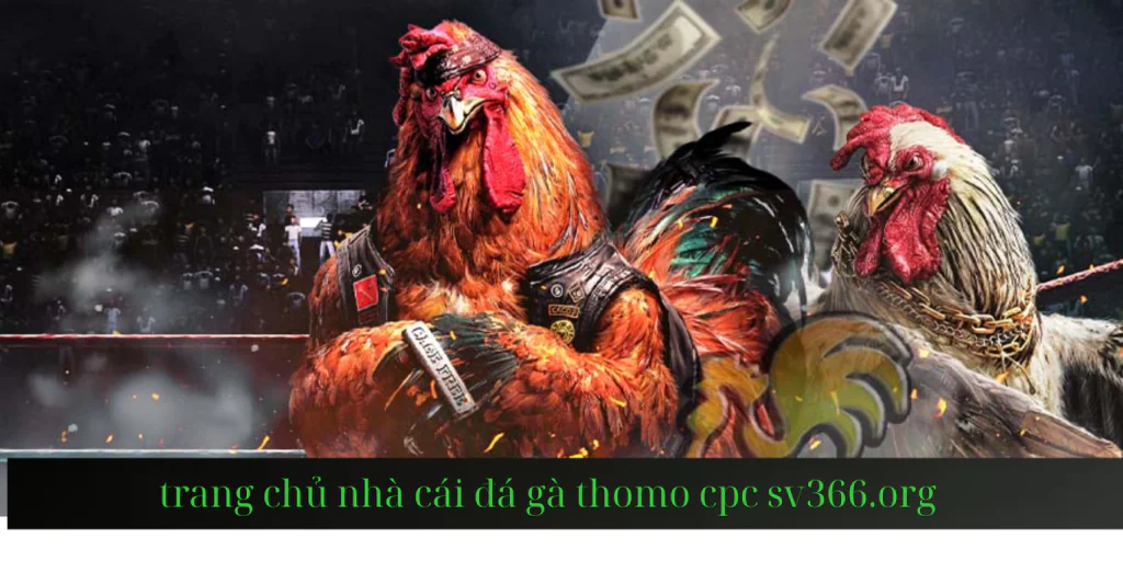 trang web đá gà nhà cái sv366